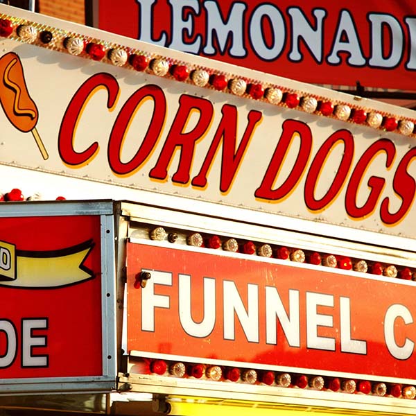 Colorado State Fair sign image for case study